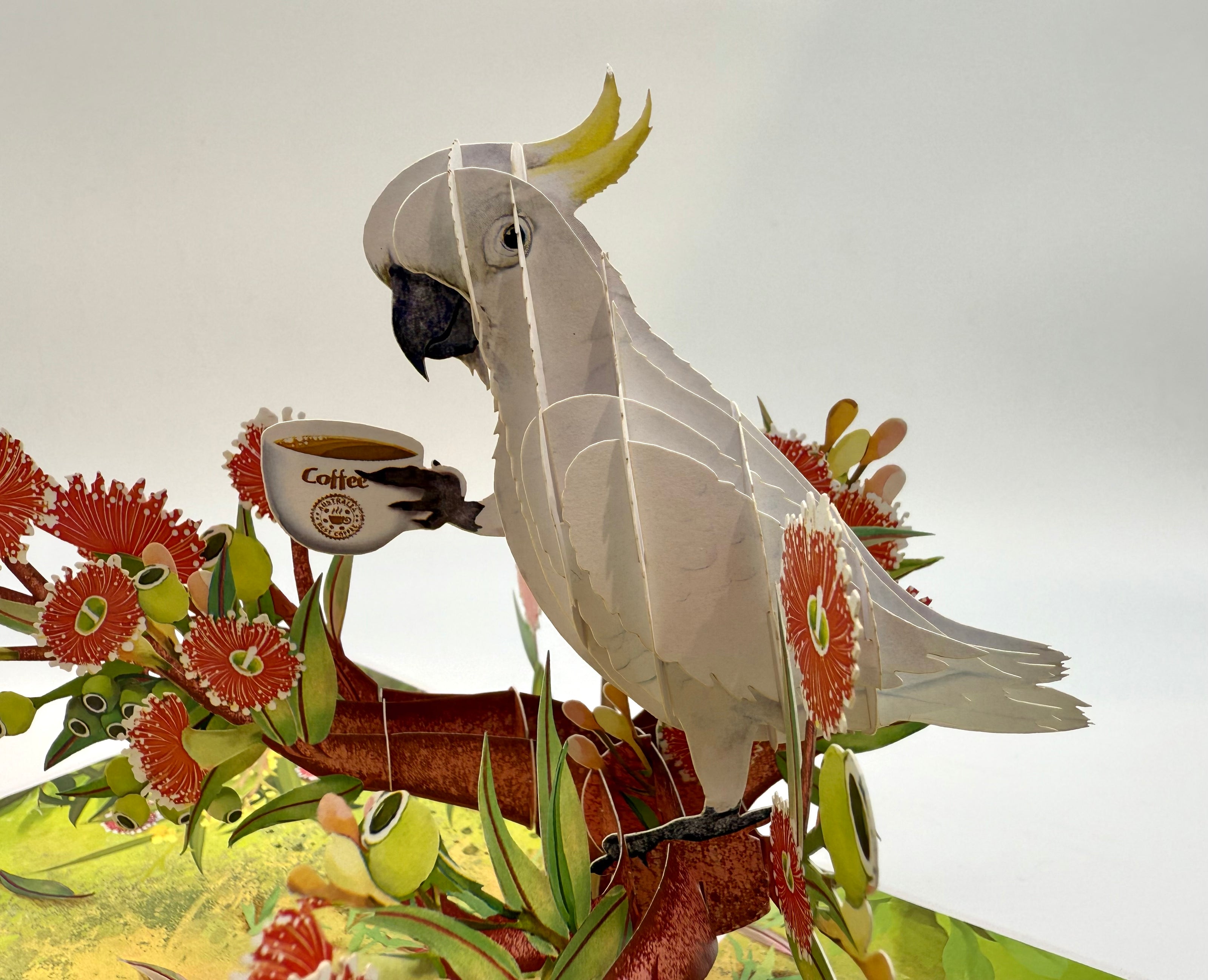 Sulphur-Crested White Cockatoo Having Its Morning Coffee Origami Pop Cards 3D Pop Up Greeting Card Celebrate Happy Birthday Thank You Handmade Best Wishes Gift Thinking of You Blank Card for Any Occasion Happy Mother's Day Happy Father's Day Australiana