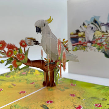 Sulphur-Crested White Cockatoo Having Its Morning Coffee Origami Pop Cards 3D Pop Up Greeting Card Celebrate Happy Birthday Thank You Handmade Best Wishes Gift Thinking of You Blank Card for Any Occasion Happy Mother's Day Happy Father's Day Australiana