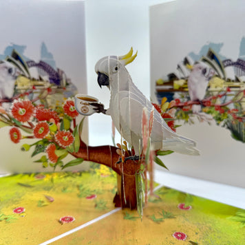Sulphur-Crested White Cockatoo Having Its Morning Coffee Origami Pop Cards 3D Pop Up Greeting Card Celebrate Happy Birthday Thank You Handmade Best Wishes Gift Thinking of You Blank Card for Any Occasion Happy Mother's Day Happy Father's Day Australiana