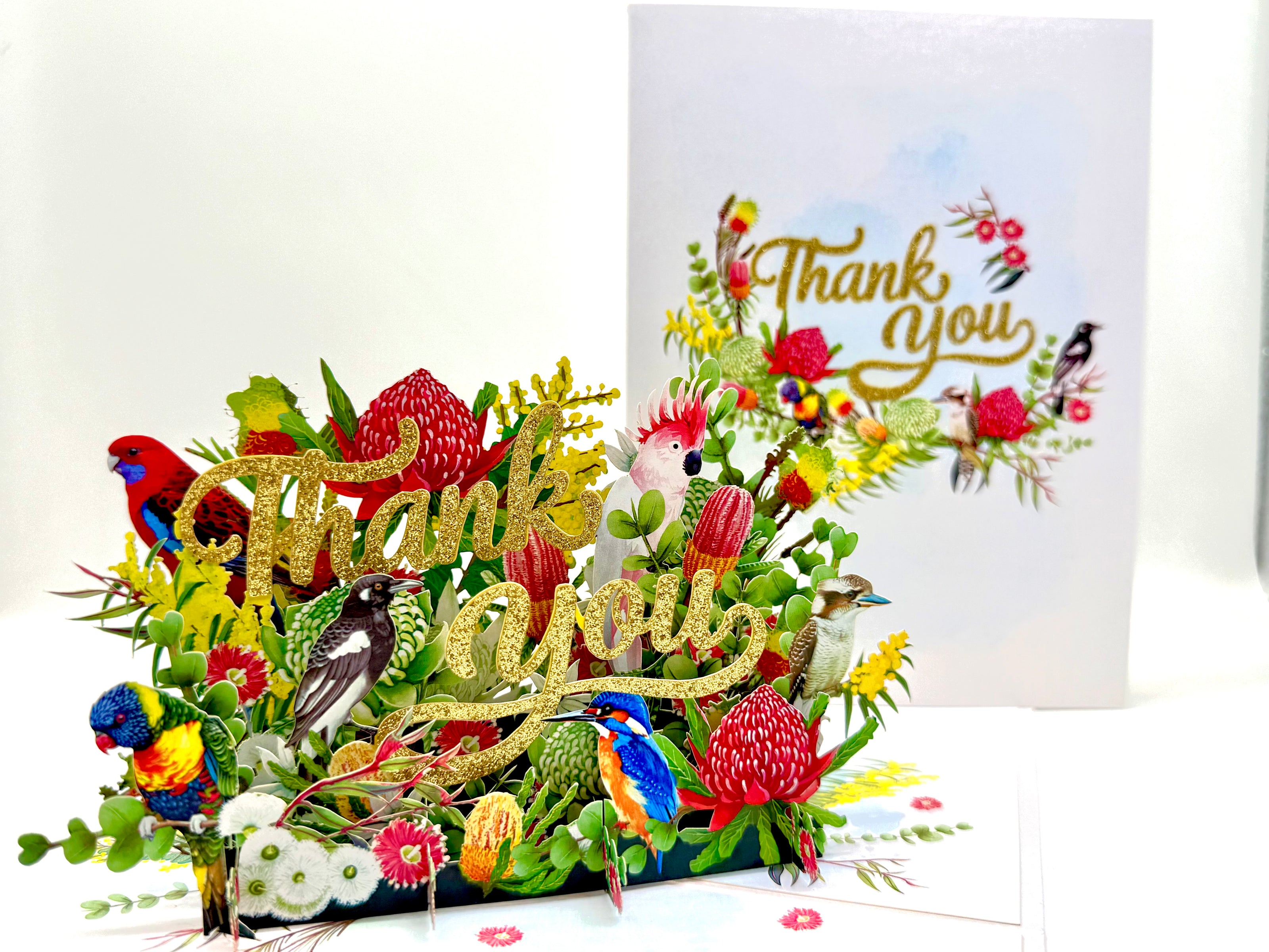 Thank You - Australian Native Garden & Birds 3D POP UP GREETING CARD - Created by Origami Pop Cards – 3D Pop Up Greeting Cards, Australian Design & Handmade, Thank you Cards, 3D Pop Up Magical Paper Cards, Handmade Pop Up Cards for Any Occasion