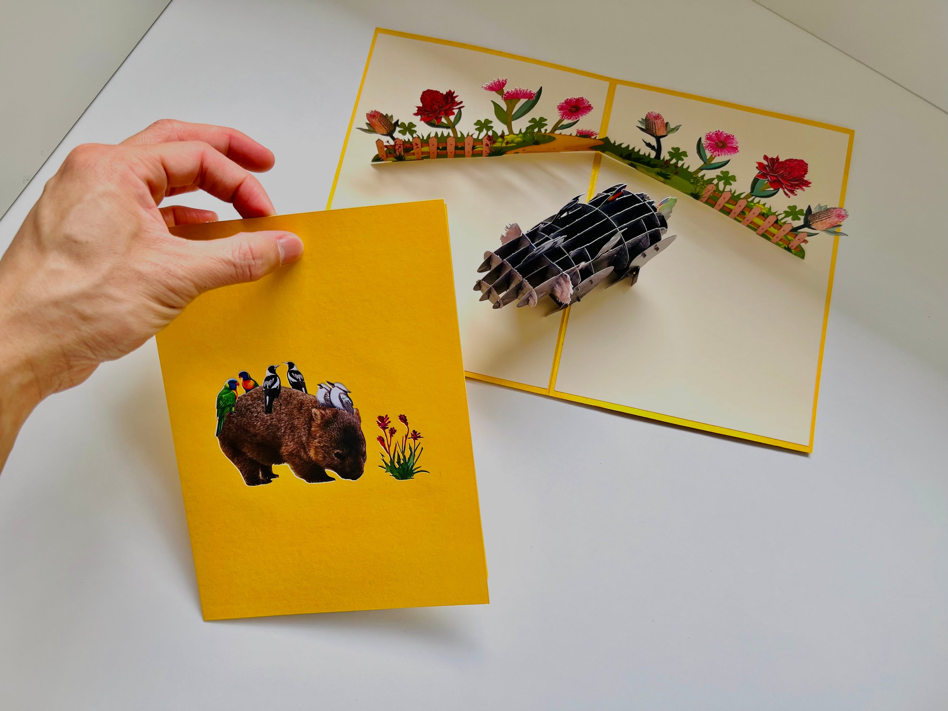 The Wombat - one of Australia's iconic animals Origami Pop Cards 3D Pop Up Greeting Card Happy Birthday Thank You Handmade Gift Thinking of You Blank Card for Any Occasion Happy Mother's Day Happy Father's Animals Donation to WWF-Australia