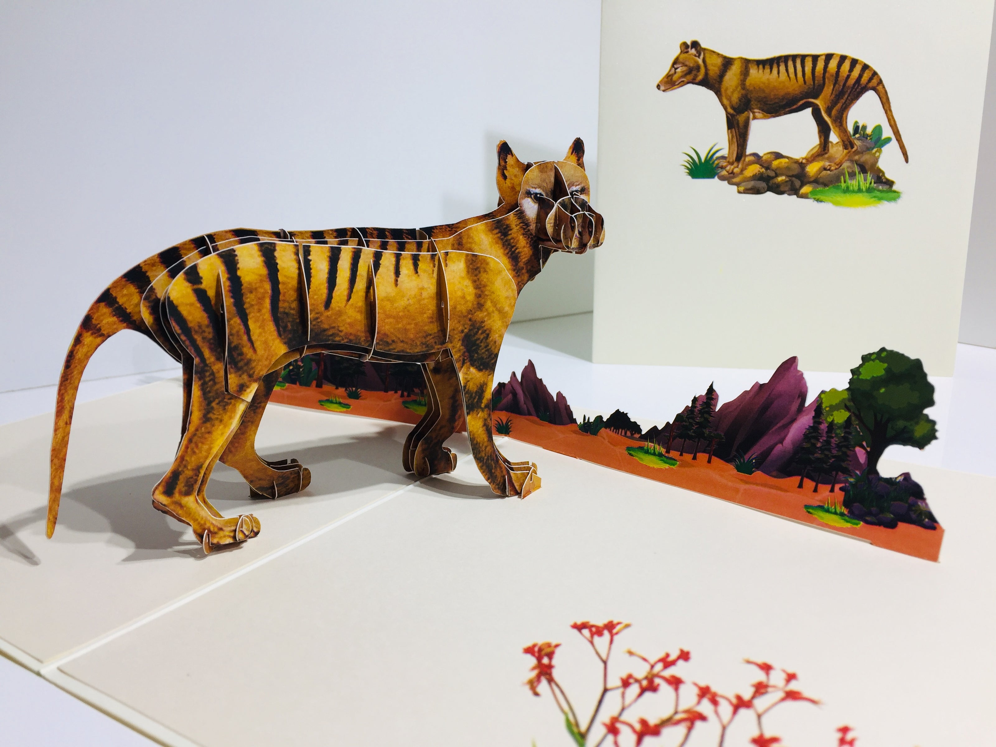Thylacine Tasmanian Tiger Aussie Wild Animal Origami Pop Cards 3D Pop Up Greeting Card Happy Birthday Thank You Handmade Gift Thinking of You Blank Card for Any Occasion Happy Mother's Day Happy Father's Australiana Celebrate the Beauty of Flower