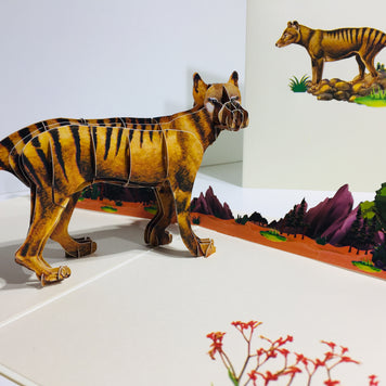 Thylacine Tasmanian Tiger Aussie Wild Animal Origami Pop Cards 3D Pop Up Greeting Card Happy Birthday Thank You Handmade Gift Thinking of You Blank Card for Any Occasion Happy Mother's Day Happy Father's Australiana Celebrate the Beauty of Flower