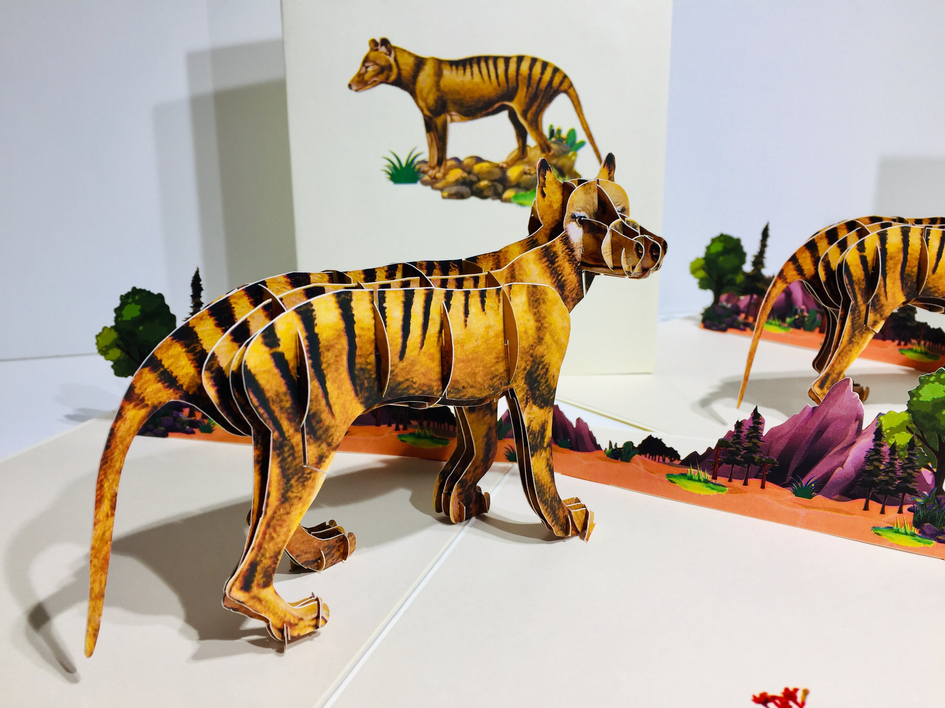 Thylacine Tasmanian Tiger Aussie Wild Animal Origami Pop Cards 3D Pop Up Greeting Card Happy Birthday Thank You Handmade Gift Thinking of You Blank Card for Any Occasion Happy Mother's Day Happy Father's Australiana Celebrate the Beauty of Flower