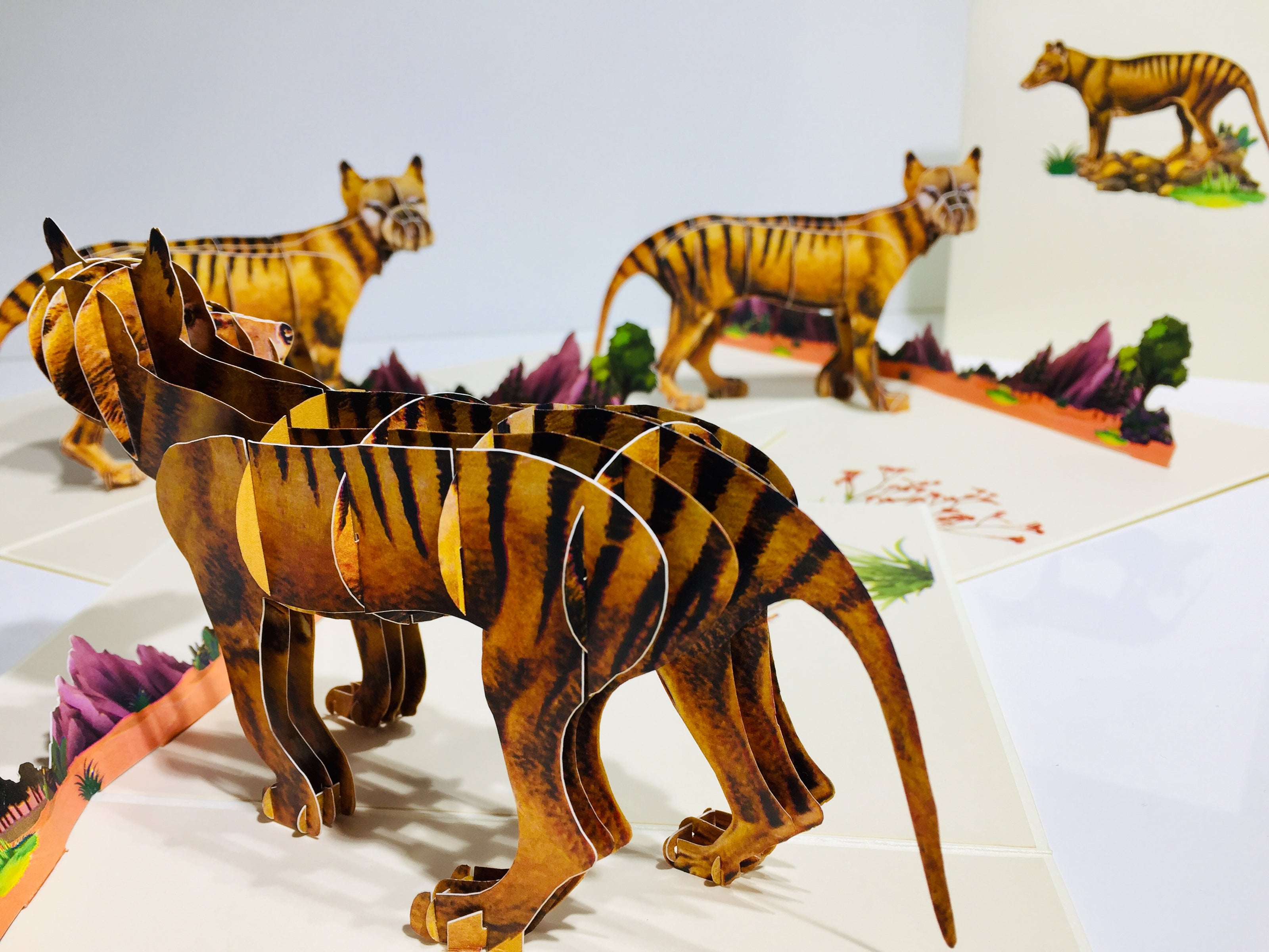 Thylacine Tasmanian Tiger Aussie Wild Animal Origami Pop Cards 3D Pop Up Greeting Card Happy Birthday Thank You Handmade Gift Thinking of You Blank Card for Any Occasion Happy Mother's Day Happy Father's Australiana Celebrate the Beauty of Flower