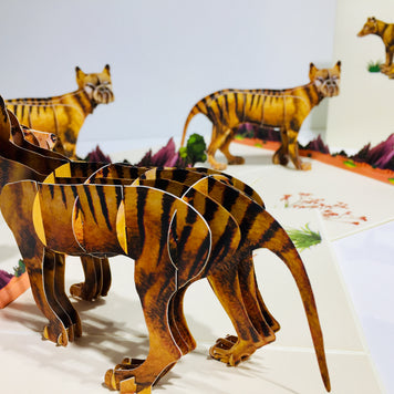 Thylacine Tasmanian Tiger Aussie Wild Animal Origami Pop Cards 3D Pop Up Greeting Card Happy Birthday Thank You Handmade Gift Thinking of You Blank Card for Any Occasion Happy Mother's Day Happy Father's Australiana Celebrate the Beauty of Flower