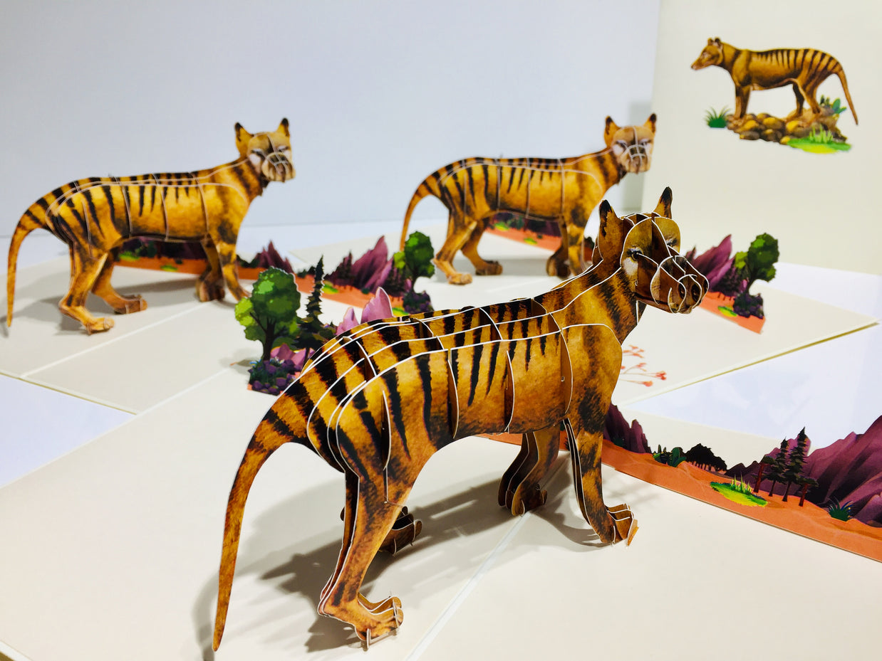 Thylacine Tasmanian Tiger Aussie Wild Animal Origami Pop Cards 3D Pop Up Greeting Card Happy Birthday Thank You Handmade Gift Thinking of You Blank Card for Any Occasion Happy Mother's Day Happy Father's Australiana Celebrate the Beauty of Flower