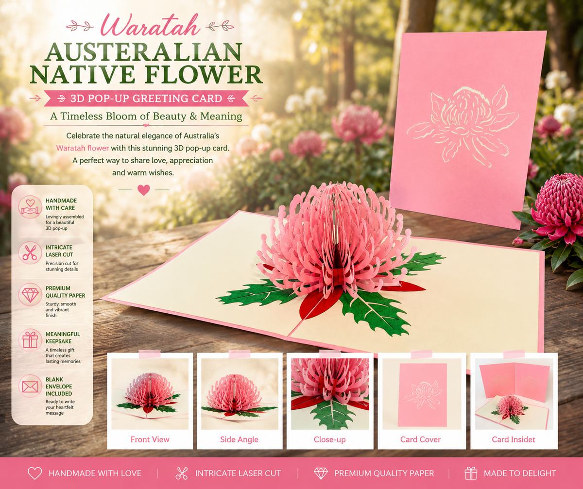 Waratah Australian Native Flower in Pink Origami Pop Cards 3D Pop Up Greeting Card Happy Birthday Thank You Handmade Gift Thinking of You Blank Card for Any Occasion Happy Mother's Day Happy Father's Australiana
