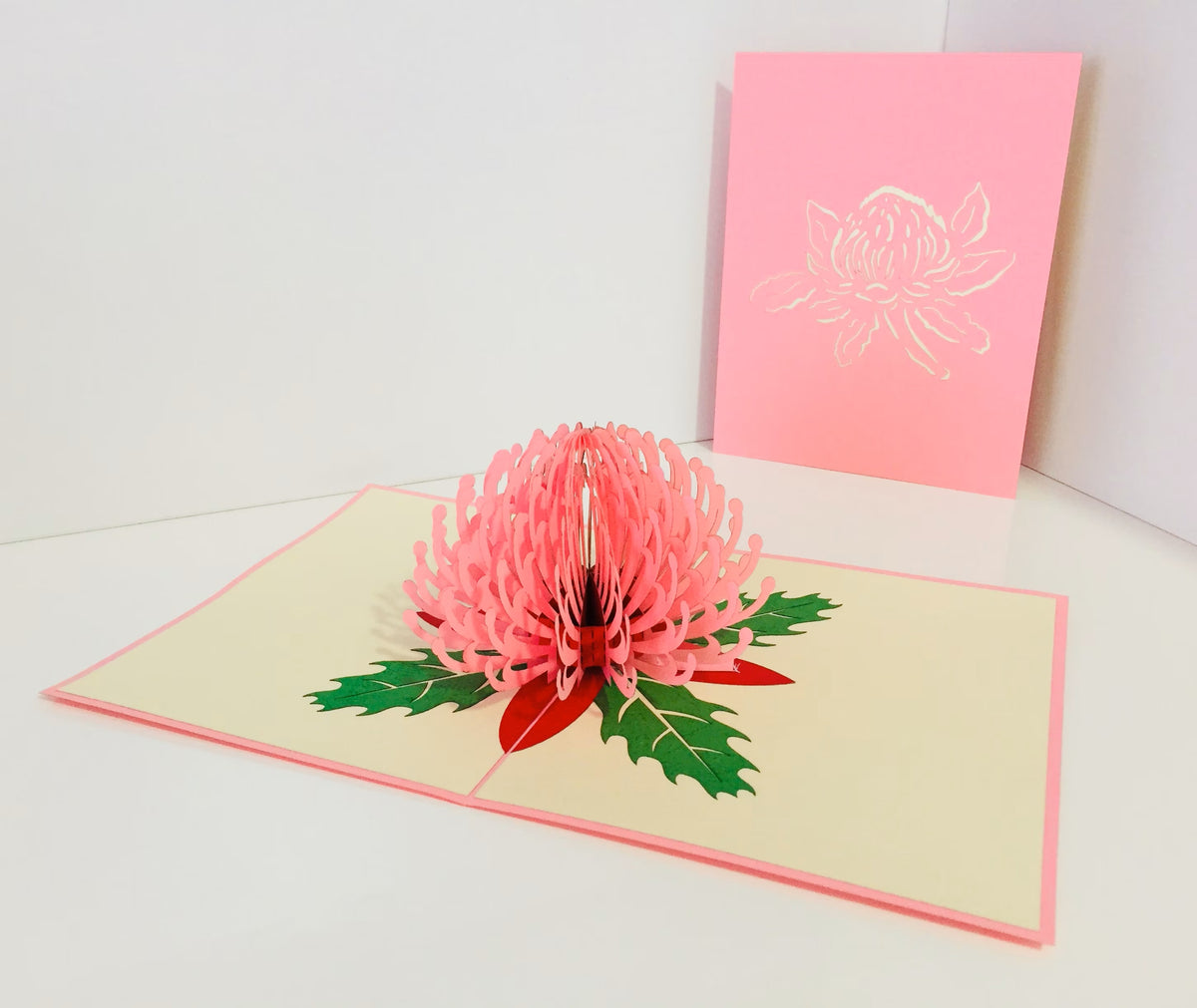 Waratah Australian Native Flower in Pink Origami Pop Cards 3D Pop Up Greeting Card Happy Birthday Thank You Handmade Gift Thinking of You Blank Card for Any Occasion Happy Mother's Day Happy Father's Australiana