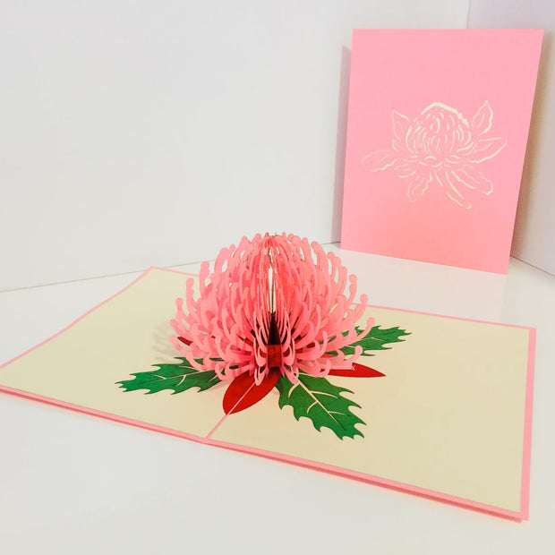 Waratah Australian Native Flower in Pink Origami Pop Cards 3D Pop Up Greeting Card Happy Birthday Thank You Handmade Gift Thinking of You Blank Card for Any Occasion Happy Mother's Day Happy Father's Australiana