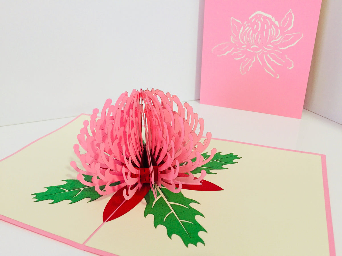 Waratah Australian Native Flower in Pink Origami Pop Cards 3D Pop Up Greeting Card Happy Birthday Thank You Handmade Gift Thinking of You Blank Card for Any Occasion Happy Mother's Day Happy Father's Australiana
