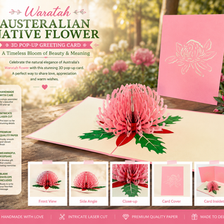 Waratah Australian Native Flower in Pink Origami Pop Cards 3D Pop Up Greeting Card Happy Birthday Thank You Handmade Gift Thinking of You Blank Card for Any Occasion Happy Mother's Day Happy Father's Australiana