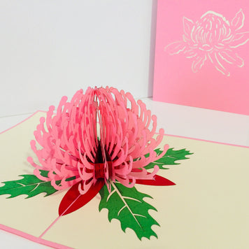 Waratah Australian Native Flower in Pink Origami Pop Cards 3D Pop Up Greeting Card Happy Birthday Thank You Handmade Gift Thinking of You Blank Card for Any Occasion Happy Mother's Day Happy Father's Australiana