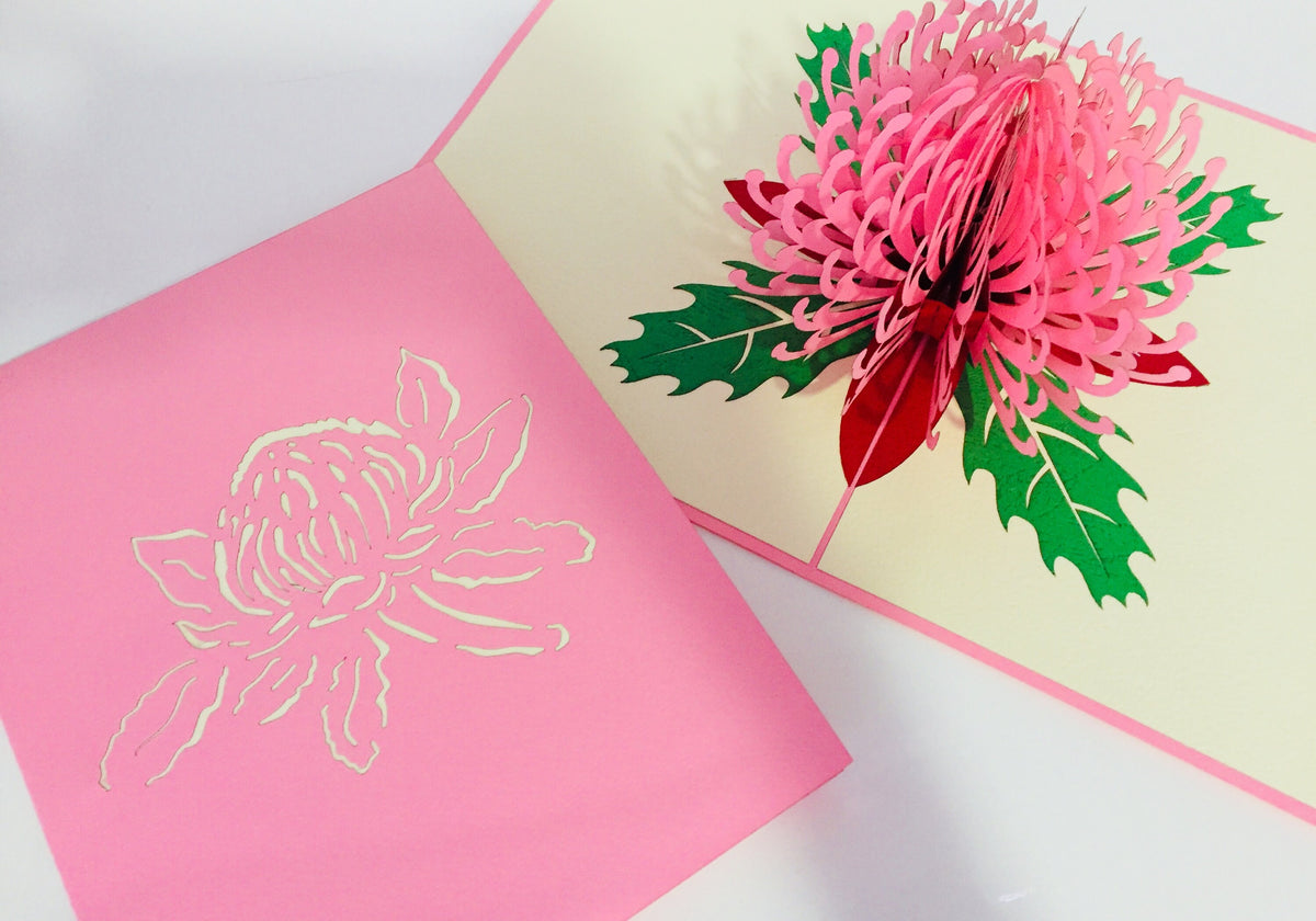 Waratah Australian Native Flower in Pink Origami Pop Cards 3D Pop Up Greeting Card Happy Birthday Thank You Handmade Gift Thinking of You Blank Card for Any Occasion Happy Mother's Day Happy Father's Australiana