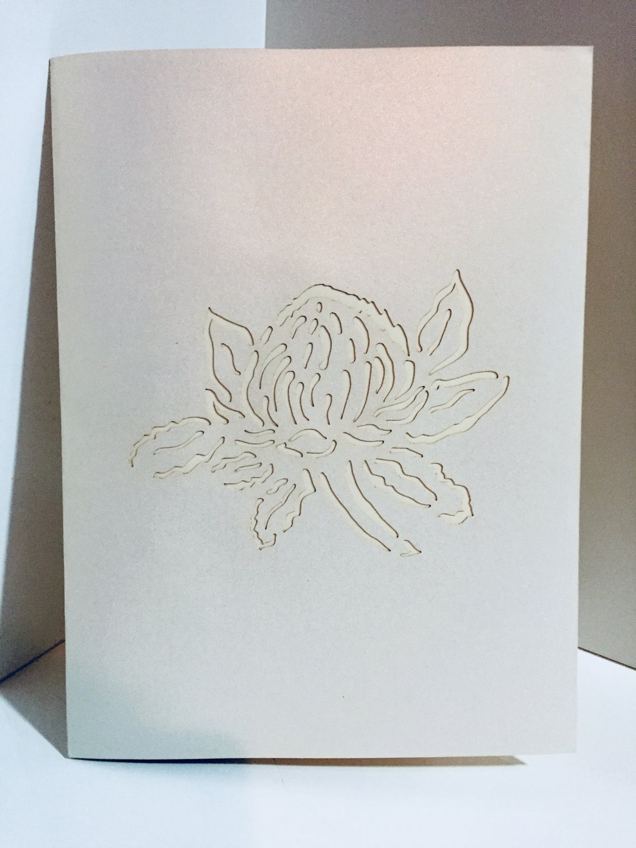 Metallic White Waratah Australian Native Flower Origami Pop Cards 3D Pop Up Greeting Card Happy Birthday Thank You Handmade Gift Thinking of You Blank Card for Any Occasion Happy Mother's Day Happy Father's Australiana (Copy)