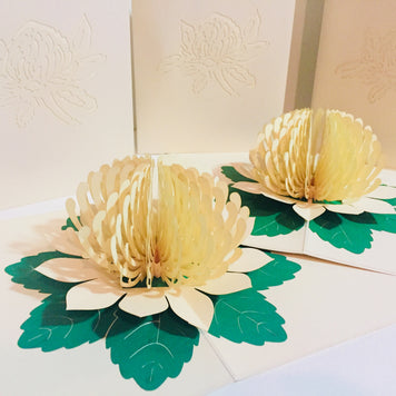 Metallic White Waratah Australian Native Flower Origami Pop Cards 3D Pop Up Greeting Card Happy Birthday Thank You Handmade Gift Thinking of You Blank Card for Any Occasion Happy Mother's Day Happy Father's Australiana (Copy)