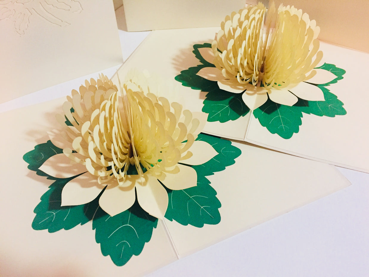 Metallic White Waratah Australian Native Flower Origami Pop Cards 3D Pop Up Greeting Card Happy Birthday Thank You Handmade Gift Thinking of You Blank Card for Any Occasion Happy Mother's Day Happy Father's Australiana (Copy)