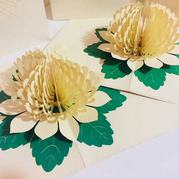 Metallic White Waratah Australian Native Flower Origami Pop Cards 3D Pop Up Greeting Card Happy Birthday Thank You Handmade Gift Thinking of You Blank Card for Any Occasion Happy Mother's Day Happy Father's Australiana (Copy)