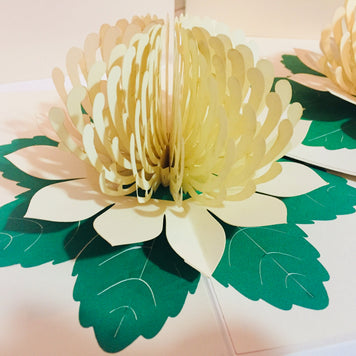 Metallic White Waratah Australian Native Flower Origami Pop Cards 3D Pop Up Greeting Card Happy Birthday Thank You Handmade Gift Thinking of You Blank Card for Any Occasion Happy Mother's Day Happy Father's Australiana (Copy)