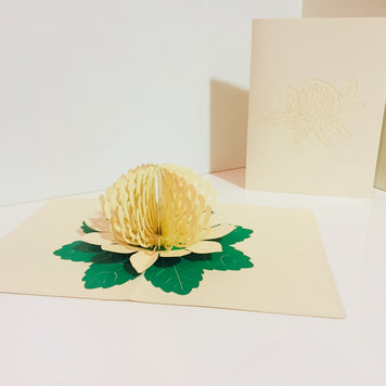 Metallic White Waratah Australian Native Flower Origami Pop Cards 3D Pop Up Greeting Card Happy Birthday Thank You Handmade Gift Thinking of You Blank Card for Any Occasion Happy Mother's Day Happy Father's Australiana (Copy)