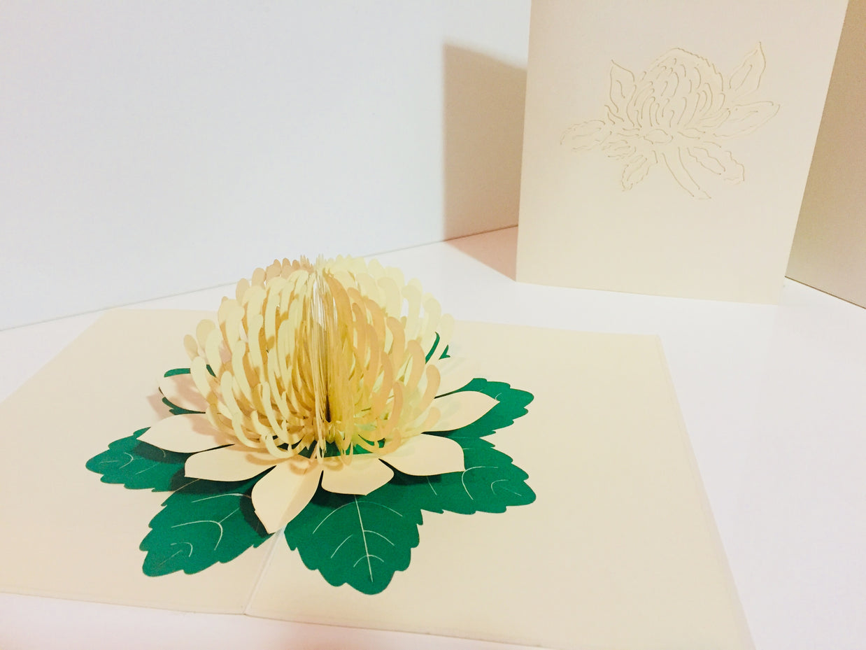 Metallic White Waratah Australian Native Flower Origami Pop Cards 3D Pop Up Greeting Card Happy Birthday Thank You Handmade Gift Thinking of You Blank Card for Any Occasion Happy Mother's Day Happy Father's Australiana (Copy)