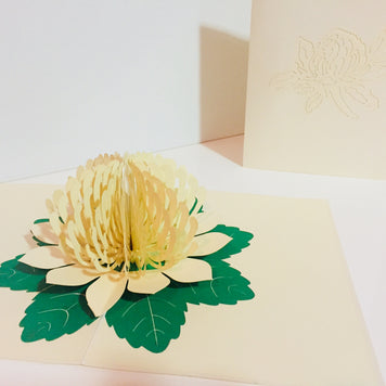Metallic White Waratah Australian Native Flower Origami Pop Cards 3D Pop Up Greeting Card Happy Birthday Thank You Handmade Gift Thinking of You Blank Card for Any Occasion Happy Mother's Day Happy Father's Australiana (Copy)