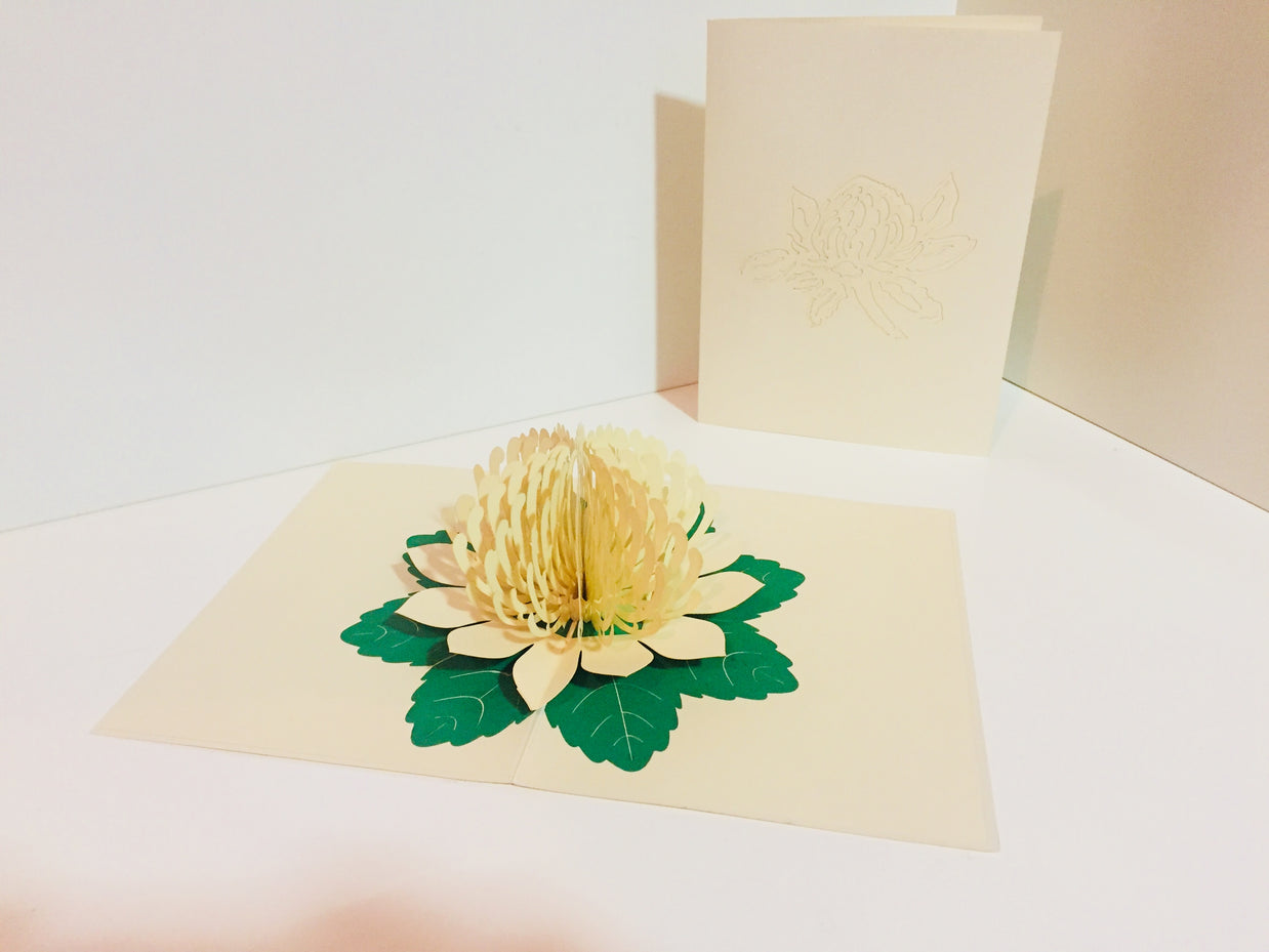 Metallic White Waratah Australian Native Flower Origami Pop Cards 3D Pop Up Greeting Card Happy Birthday Thank You Handmade Gift Thinking of You Blank Card for Any Occasion Happy Mother's Day Happy Father's Australiana (Copy)
