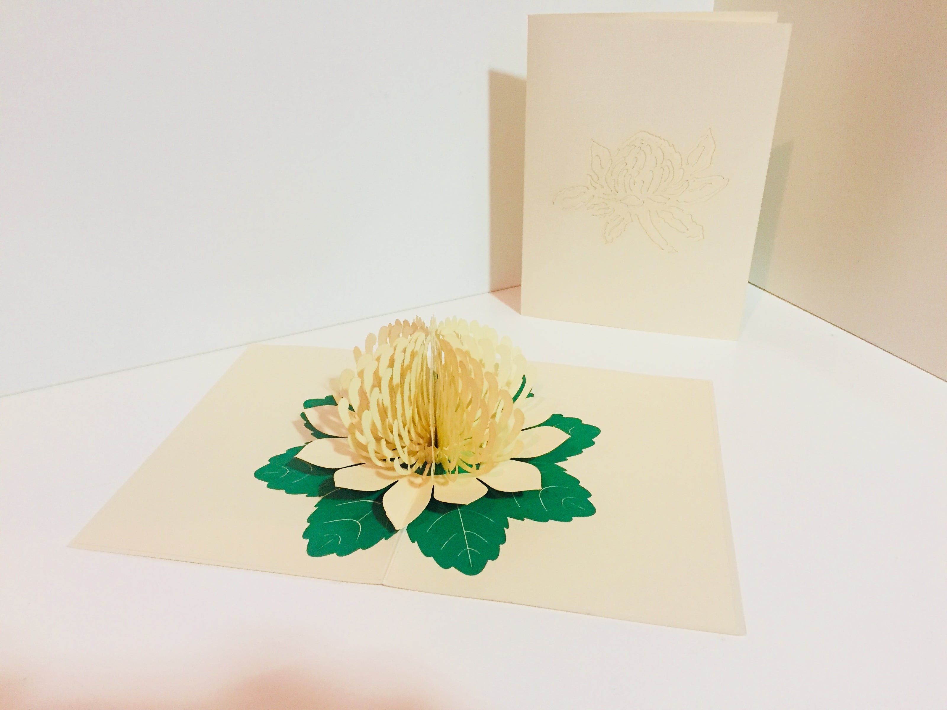 Metallic White Waratah Australian Native Flower Origami Pop Cards 3D Pop Up Greeting Card Happy Birthday Thank You Handmade Gift Thinking of You Blank Card for Any Occasion Happy Mother's Day Happy Father's Australiana (Copy)