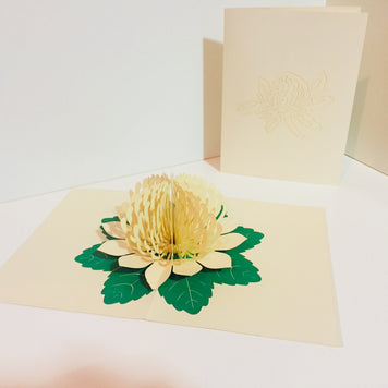 Metallic White Waratah Australian Native Flower Origami Pop Cards 3D Pop Up Greeting Card Happy Birthday Thank You Handmade Gift Thinking of You Blank Card for Any Occasion Happy Mother's Day Happy Father's Australiana (Copy)