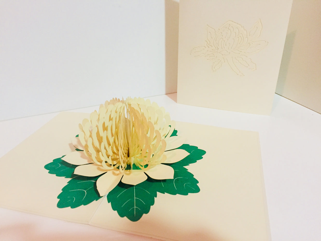 Metallic White Waratah Australian Native Flower Origami Pop Cards 3D Pop Up Greeting Card Happy Birthday Thank You Handmade Gift Thinking of You Blank Card for Any Occasion Happy Mother's Day Happy Father's Australiana (Copy)