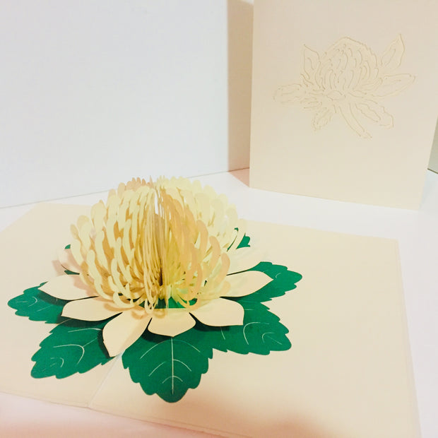 Metallic White Waratah Australian Native Flower Origami Pop Cards 3D Pop Up Greeting Card Happy Birthday Thank You Handmade Gift Thinking of You Blank Card for Any Occasion Happy Mother's Day Happy Father's Australiana