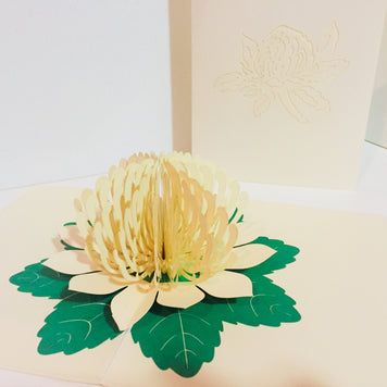 Metallic White Waratah Australian Native Flower Origami Pop Cards 3D Pop Up Greeting Card Happy Birthday Thank You Handmade Gift Thinking of You Blank Card for Any Occasion Happy Mother's Day Happy Father's Australiana (Copy)