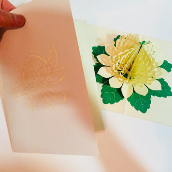 Metallic White Waratah Australian Native Flower Origami Pop Cards 3D Pop Up Greeting Card Happy Birthday Thank You Handmade Gift Thinking of You Blank Card for Any Occasion Happy Mother's Day Happy Father's Australiana (Copy)