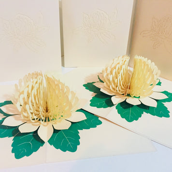 Metallic White Waratah Australian Native Flower Origami Pop Cards 3D Pop Up Greeting Card Happy Birthday Thank You Handmade Gift Thinking of You Blank Card for Any Occasion Happy Mother's Day Happy Father's Australiana (Copy)