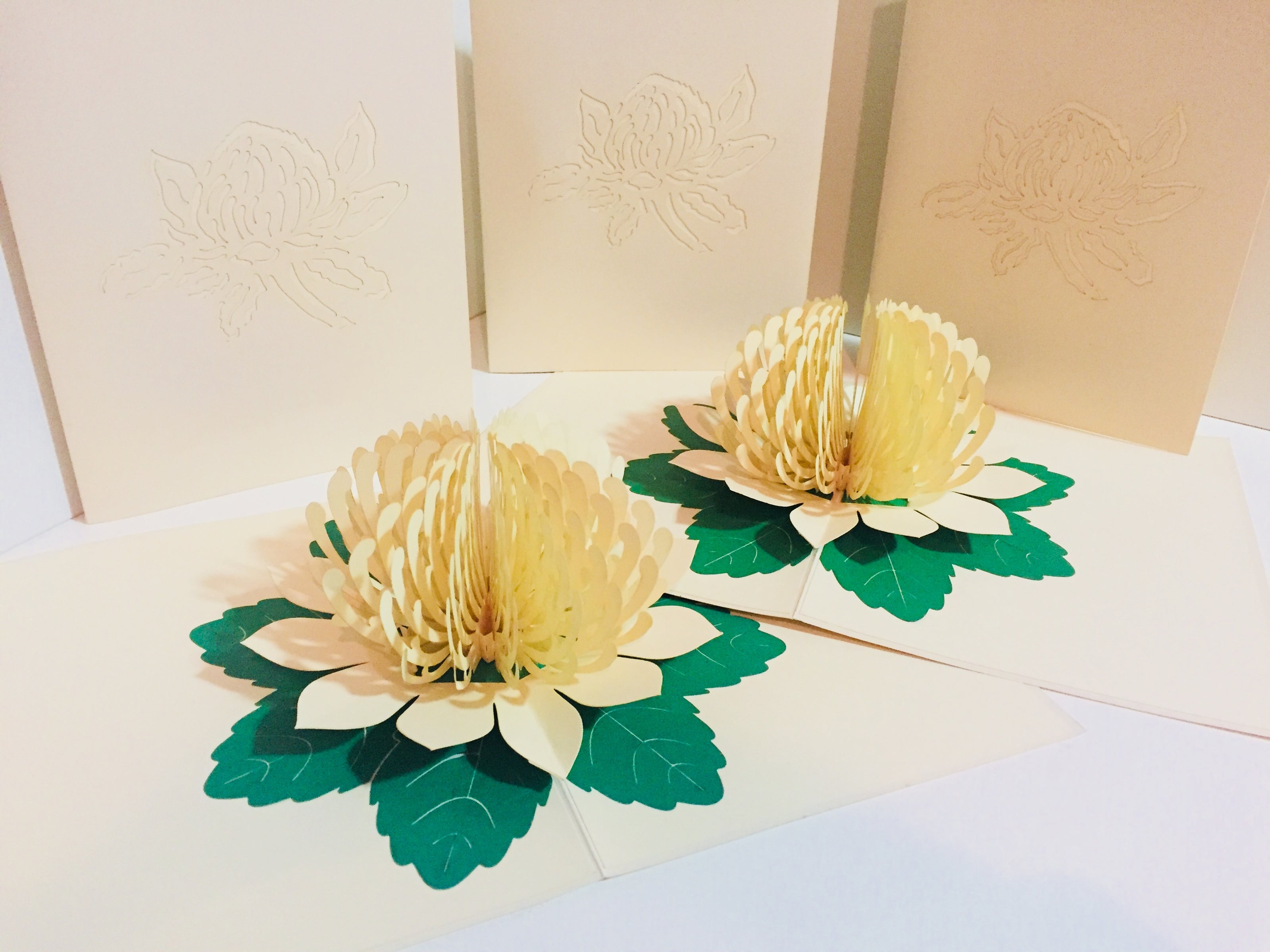 Metallic White Waratah Australian Native Flower Origami Pop Cards 3D Pop Up Greeting Card Happy Birthday Thank You Handmade Gift Thinking of You Blank Card for Any Occasion Happy Mother's Day Happy Father's Australiana (Copy)