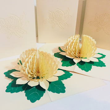 Metallic White Waratah Australian Native Flower Origami Pop Cards 3D Pop Up Greeting Card Happy Birthday Thank You Handmade Gift Thinking of You Blank Card for Any Occasion Happy Mother's Day Happy Father's Australiana (Copy)