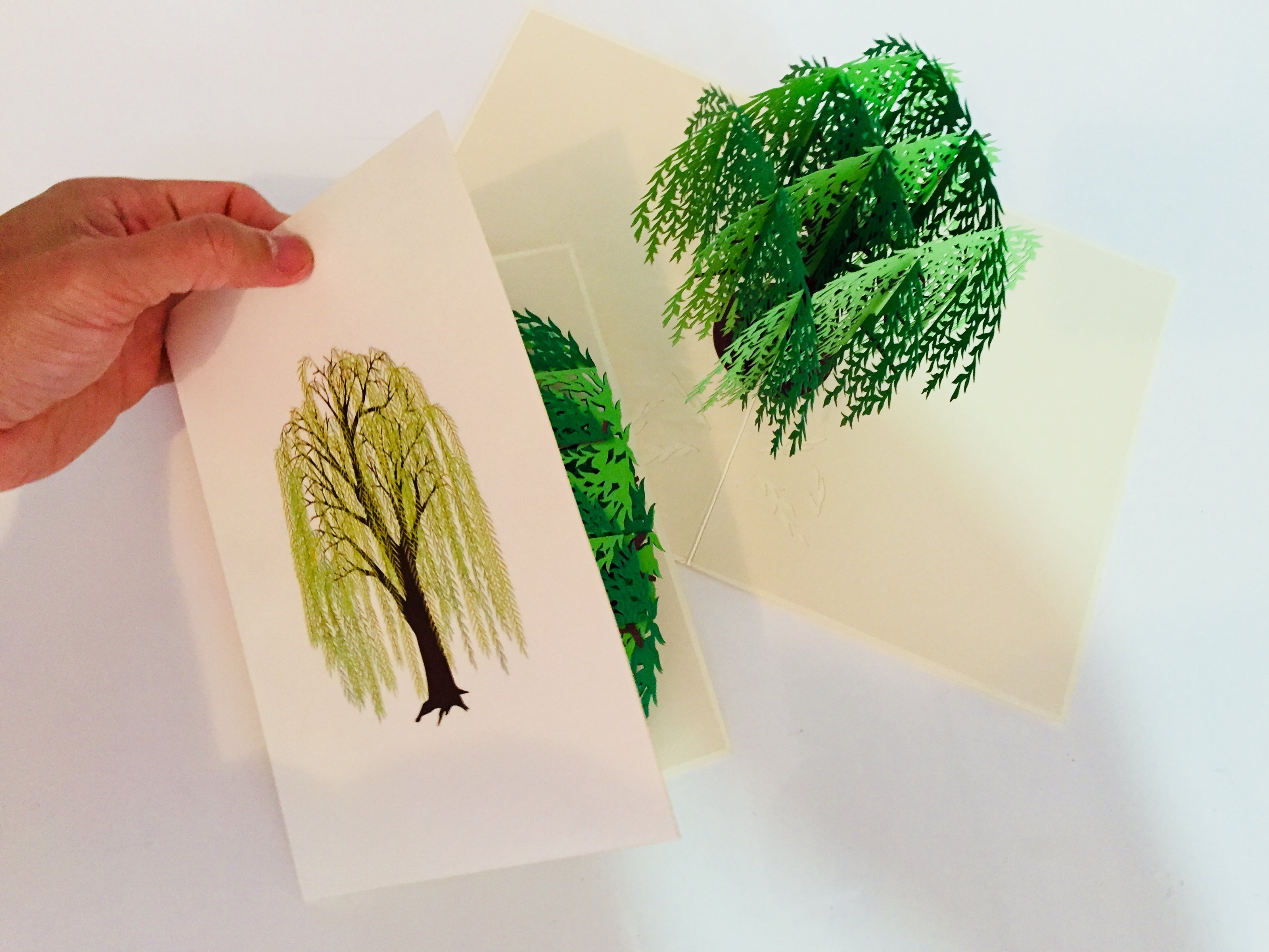 Weeping Willow Tree Pop Up Greeting Card Origami Pop Cards 3D Pop Up Greeting Card Happy Birthday Thank You Handmade Gift Thinking of You Blank Card for Any Occasion Happy Mother's Day Happy Father's Australiana Celebrate