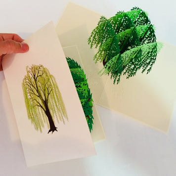 Weeping Willow Tree Pop Up Greeting Card Origami Pop Cards 3D Pop Up Greeting Card Happy Birthday Thank You Handmade Gift Thinking of You Blank Card for Any Occasion Happy Mother's Day Happy Father's Australiana Celebrate