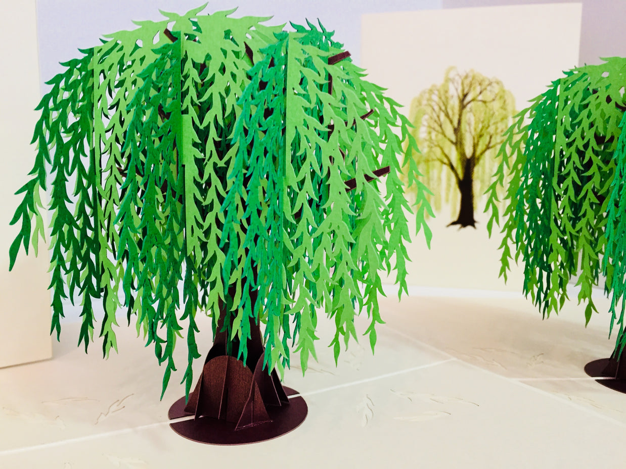 Weeping Willow Tree Pop Up Greeting Card Origami Pop Cards 3D Pop Up Greeting Card Happy Birthday Thank You Handmade Gift Thinking of You Blank Card for Any Occasion Happy Mother's Day Happy Father's Australiana Celebrate