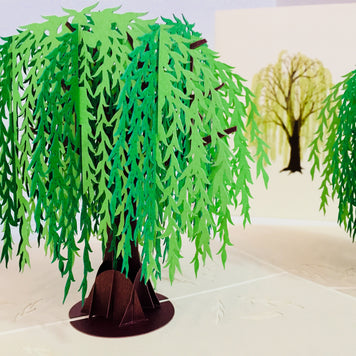 Weeping Willow Tree Pop Up Greeting Card Origami Pop Cards 3D Pop Up Greeting Card Happy Birthday Thank You Handmade Gift Thinking of You Blank Card for Any Occasion Happy Mother's Day Happy Father's Australiana Celebrate