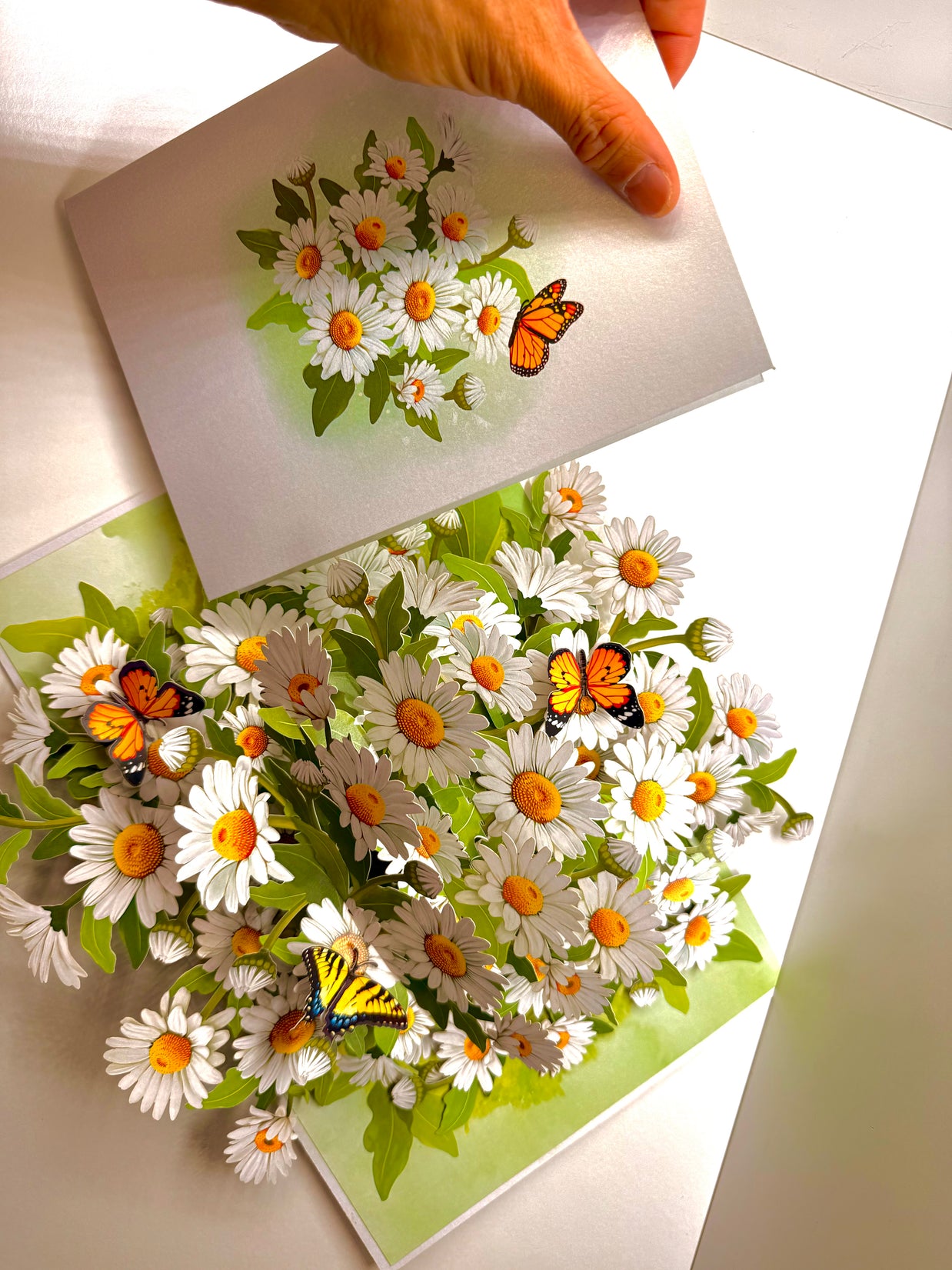 White Daisy Garden with Butterflies Origami Pop Cards 3D Pop Up Greeting Card Happy Birthday Thank You Handmade Gift Thinking of You Blank Card for Any Occasion Happy Mother's Day Happy Father's Australiana Celebrate the Beauty of Flower