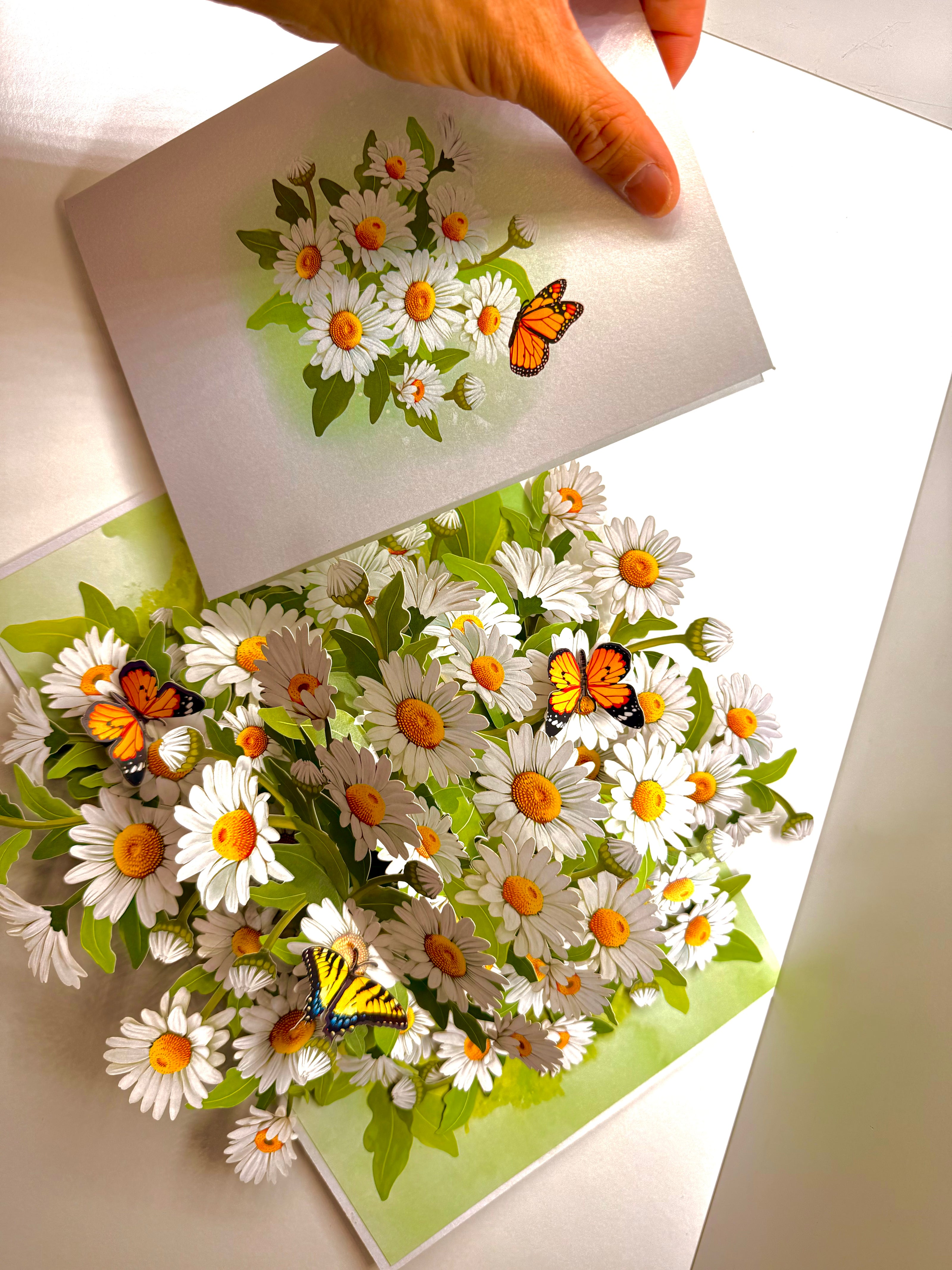 White Daisy Garden with Butterflies Origami Pop Cards 3D Pop Up Greeting Card Happy Birthday Thank You Handmade Gift Thinking of You Blank Card for Any Occasion Happy Mother's Day Happy Father's Australiana Celebrate the Beauty of Flower