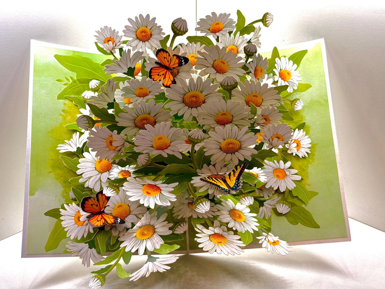 White Daisy Garden with Butterflies Origami Pop Cards 3D Pop Up Greeting Card Happy Birthday Thank You Handmade Gift Thinking of You Blank Card for Any Occasion Happy Mother's Day Happy Father's Australiana Celebrate the Beauty of Flower