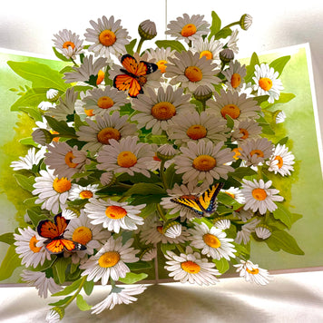 White Daisy Garden with Butterflies Origami Pop Cards 3D Pop Up Greeting Card Happy Birthday Thank You Handmade Gift Thinking of You Blank Card for Any Occasion Happy Mother's Day Happy Father's Australiana Celebrate the Beauty of Flower