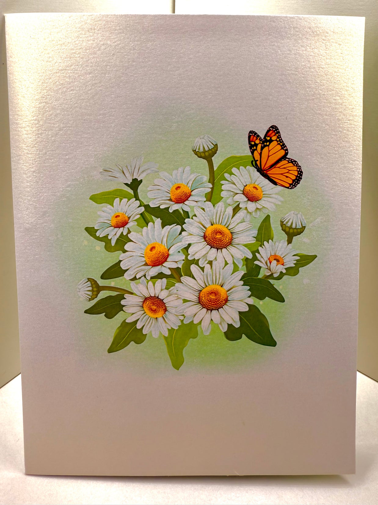 White Daisy Garden with Butterflies Origami Pop Cards 3D Pop Up Greeting Card Happy Birthday Thank You Handmade Gift Thinking of You Blank Card for Any Occasion Happy Mother's Day Happy Father's Australiana Celebrate the Beauty of Flower