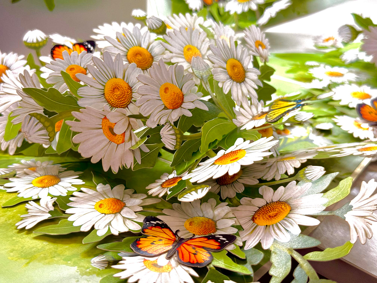 White Daisy Garden with Butterflies Origami Pop Cards 3D Pop Up Greeting Card Happy Birthday Thank You Handmade Gift Thinking of You Blank Card for Any Occasion Happy Mother's Day Happy Father's Australiana Celebrate the Beauty of Flower