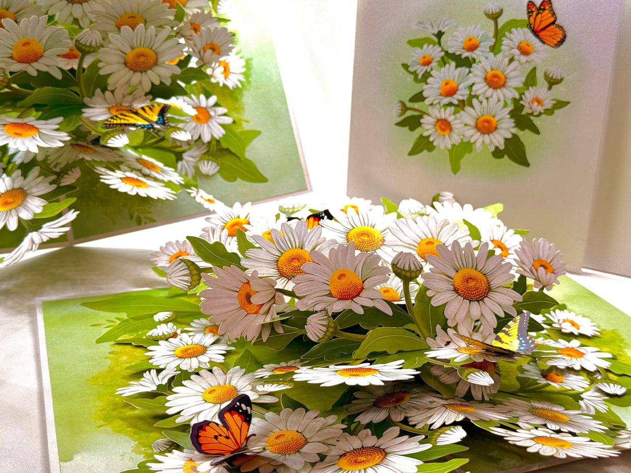 White Daisy Garden with Butterflies Origami Pop Cards 3D Pop Up Greeting Card Happy Birthday Thank You Handmade Gift Thinking of You Blank Card for Any Occasion Happy Mother's Day Happy Father's Australiana Celebrate the Beauty of Flower