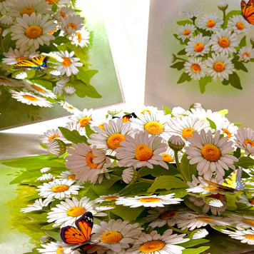 White Daisy Garden with Butterflies Origami Pop Cards 3D Pop Up Greeting Card Happy Birthday Thank You Handmade Gift Thinking of You Blank Card for Any Occasion Happy Mother's Day Happy Father's Australiana Celebrate the Beauty of Flower