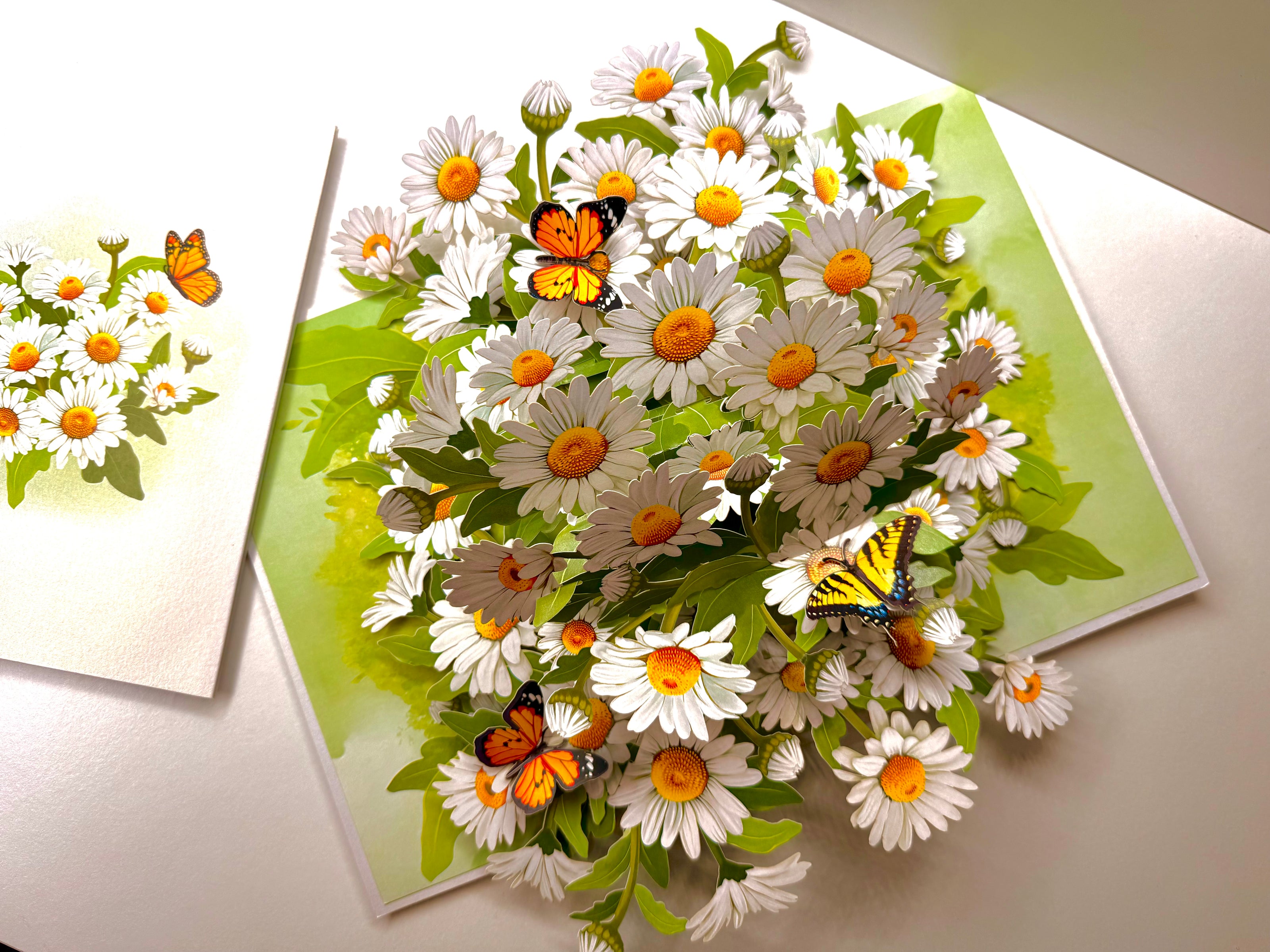 White Daisy Garden with Butterflies Origami Pop Cards 3D Pop Up Greeting Card Happy Birthday Thank You Handmade Gift Thinking of You Blank Card for Any Occasion Happy Mother's Day Happy Father's Australiana Celebrate the Beauty of Flower