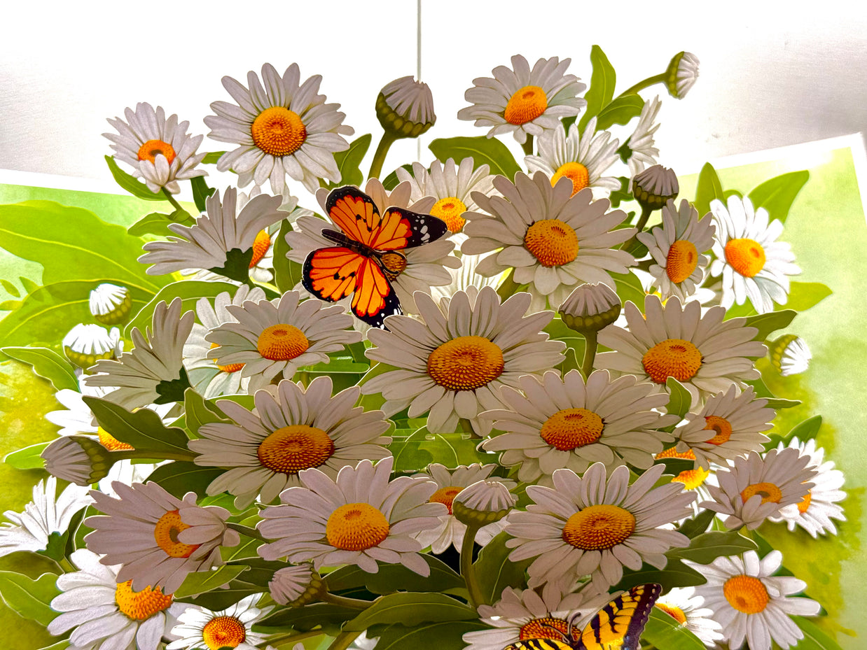 White Daisy Garden with Butterflies Origami Pop Cards 3D Pop Up Greeting Card Happy Birthday Thank You Handmade Gift Thinking of You Blank Card for Any Occasion Happy Mother's Day Happy Father's Australiana Celebrate the Beauty of Flower
